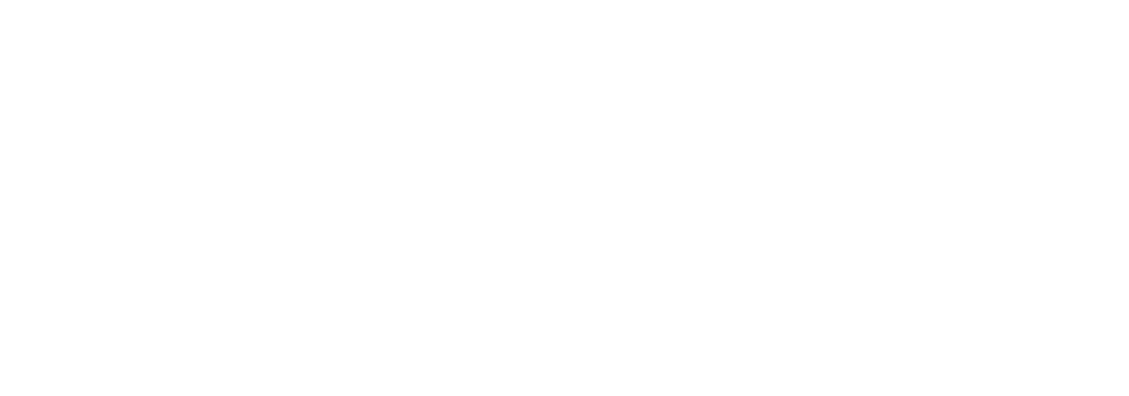 2025-NTIC-Rev-Logo