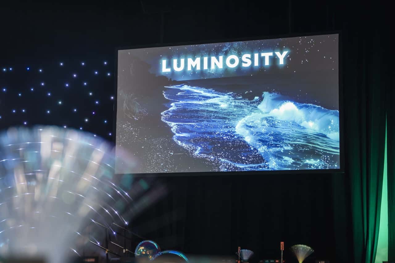 Gala awards 2025 5 large